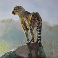 Cheetah