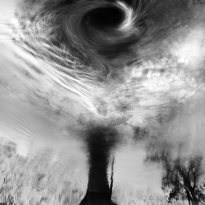 Interpretation of Nature (1) - Whirlpool