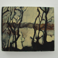 Manly Dam - Through the Trees