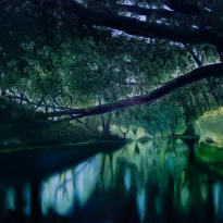 Reflect