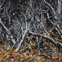 Fairweather Deep in Cadmium Yellow